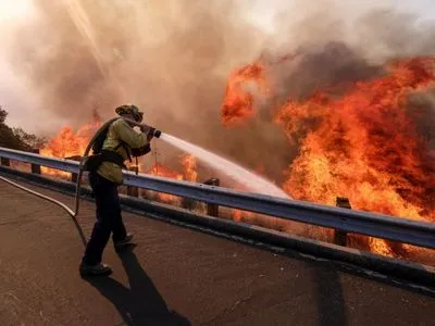 Число жертв лесных пожаров в Калифорнии возросло до 80