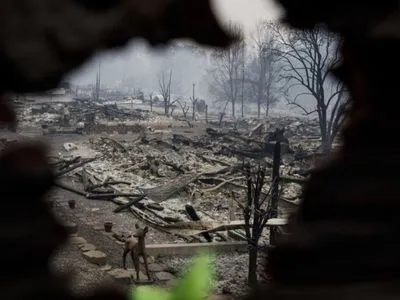 На севере Калифорнии начались усиленные поиски жертв пожаров и пропавших без вести