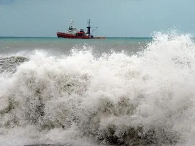 Пограничники проверят груз спасенного в Черном море судна
