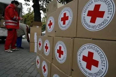 "Красный Крест" направил в оккупированный Донбасс около 400 тонн гуманитарки