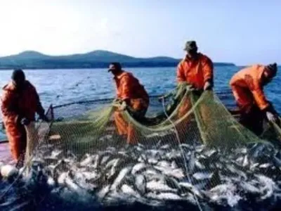 От введения военного положения пострадает рыбная отрасль
