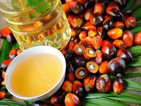 Найбільший виробник пальмової олії зазнає збитків