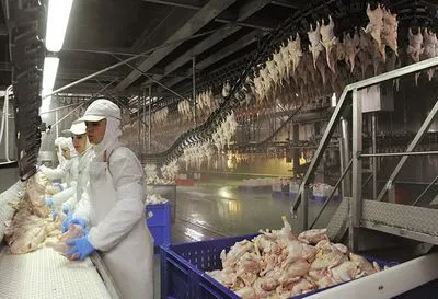 В Ассоциации птицеводов опровергли дефицит курятины в Украине