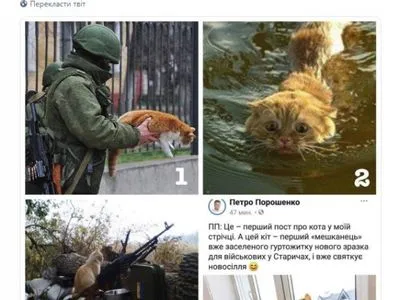 Пост Порошенко о котиках запустил флешмоб в соцсетях