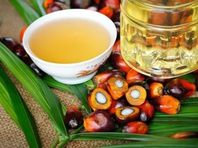 Пальмовый рекорд: Украина импортировала сотни тысяч тонн пальмового масла