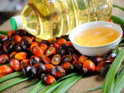 РФ вслед за Украиной существенно нарастила импорт пальмового масла