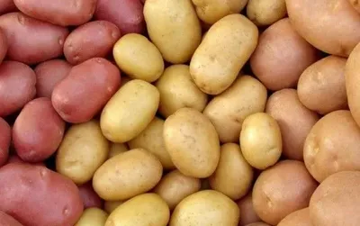 Українці з’їли майже 65 тис. тонн картоплі