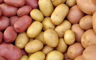 Украинцы съели почти 65 тыс. тонн картофеля