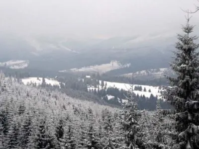 За ніч на заході України випало до 15 см снігу