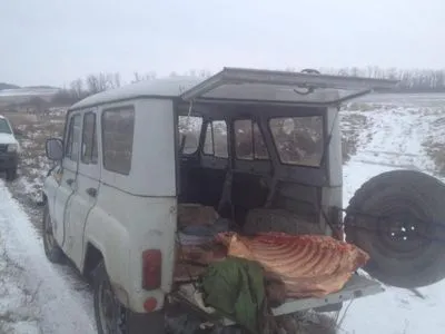 В Россию пытались контрабандой переправить более 300 кг мяса