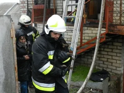 Из горящего дома спасли семерых домашних любимцев
