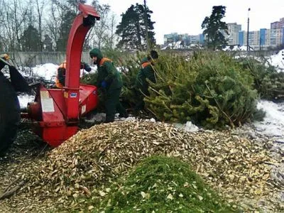 В Киеве откроют 15 пунктов утилизации новогодних елок