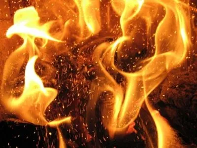 В Днепропетровской области в пожаре пострадали два человека, один из них ребенок