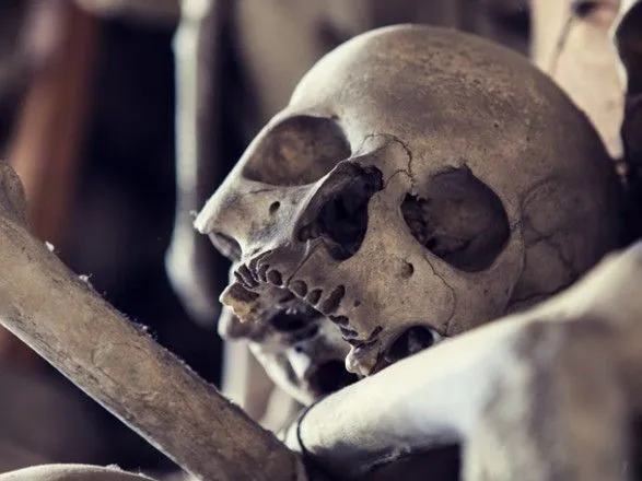 Цистерну с двумя человеческими скелетами нашли в Одессе