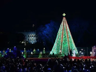 Мужчина влез на рождественскую елку напротив Белого дома
