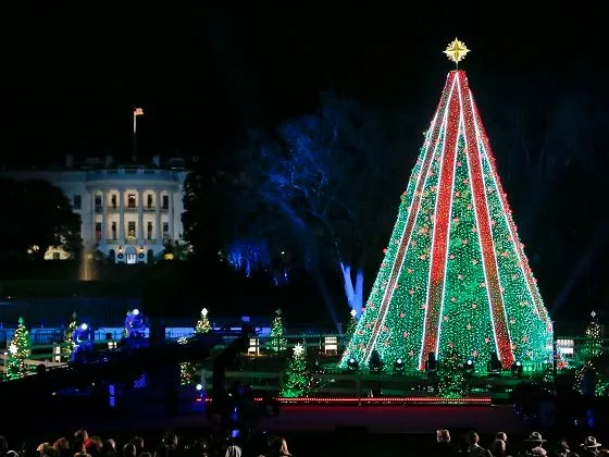 Главная рождественская елка США останется без иллюминации