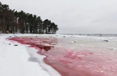 В Естонії море стало криваво-червоним