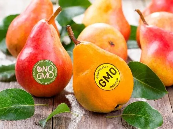 Російських виробників зобов'язали вказувати наявність ГМО в продуктах