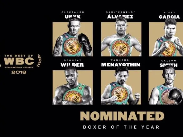 Усика номинировали на звание лучшего боксера года по версии WBC