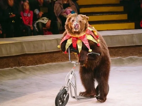 Кабмін підтримав заборону використання диких тварин у цирках