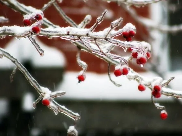 Сьогодні по Україні очікується мокрий сніг та дощ