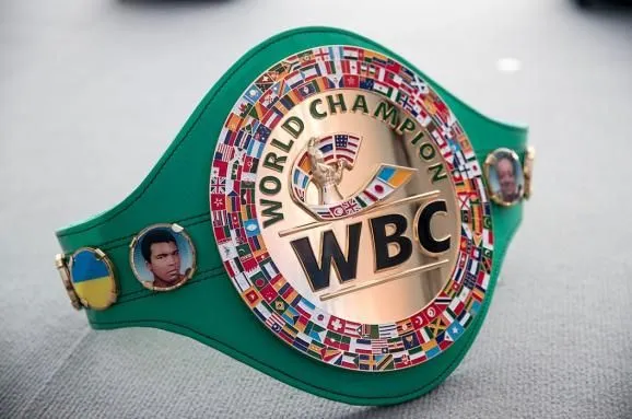 WBC анонсировал изменения в правилах бокса