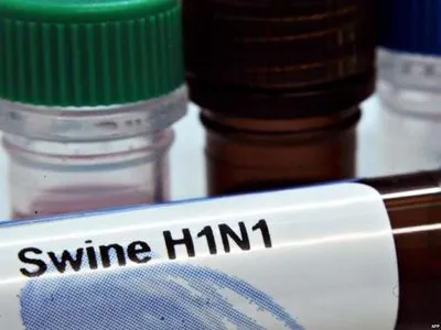 В США журналистка умерла от свиного гриппа подвида H1N1