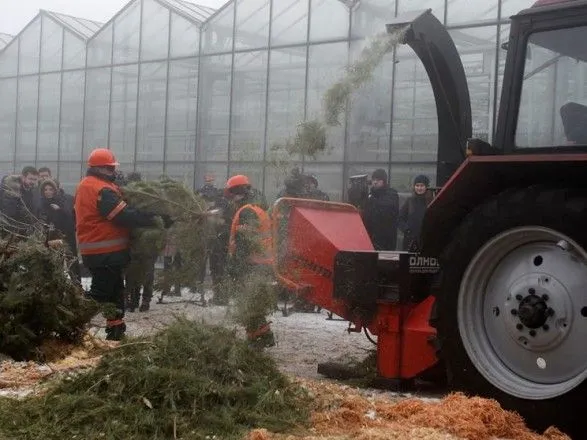 В Киеве заработали 15 пунктов утилизации новогодних елок