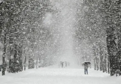 Сильні снігопади з Австрії та Німеччини насуваються на Британію