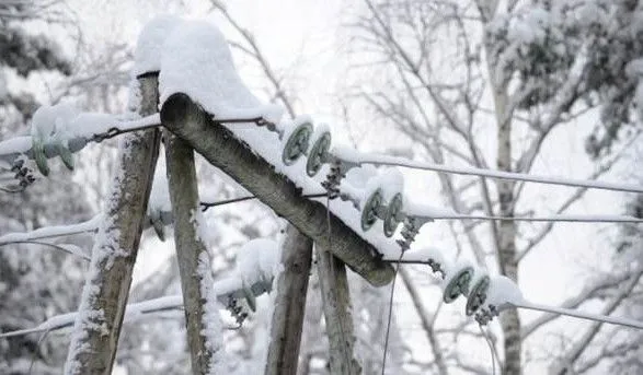 Снегопад обесточил 16 населенных пунктов на Закарпатье