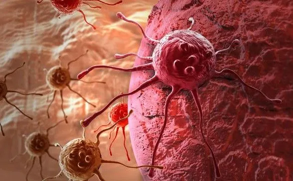 Ученые остановили распространение рака, превратив онкоклетки в жир