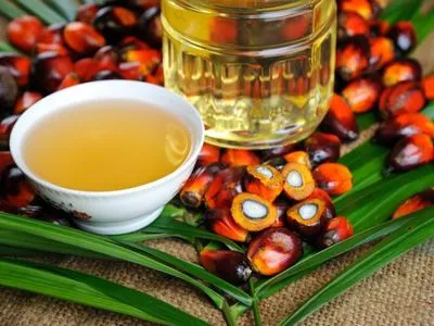 Україна введе заборону на пальмову олію - нардеп