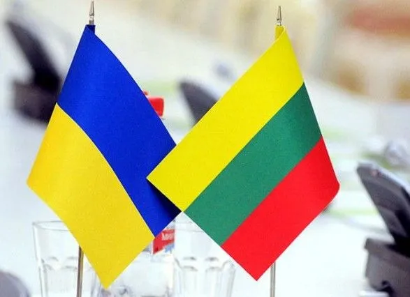 Правительство Литвы увеличило период интеграции для привезенных из Украины литовцев