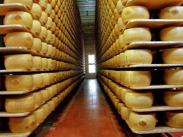 В Словакии задержали украинца, который вез 1,5 тонн контрабандного сыра