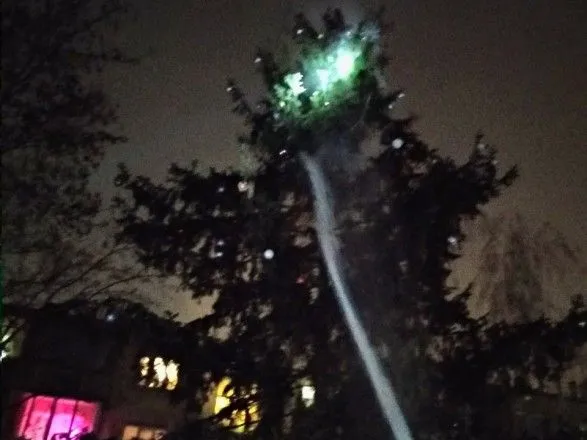 Под Киевом загорелась гирлянда на новогодней елке