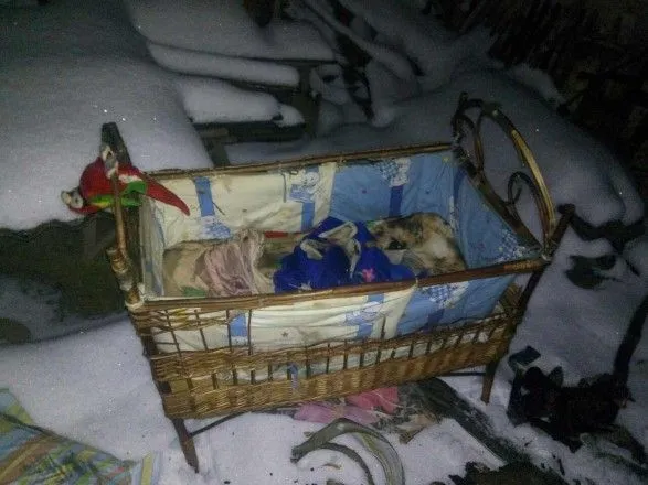 В пожаре в Тернопольской области погиб малолетний ребенок
