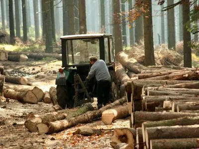 Україна приєднається до Конвенції про Європейський інститут лісу