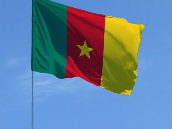 В посольство Камеруна ворвались неизвестные