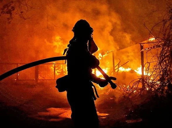 С начала года на пожарах погибло уже 275 человек