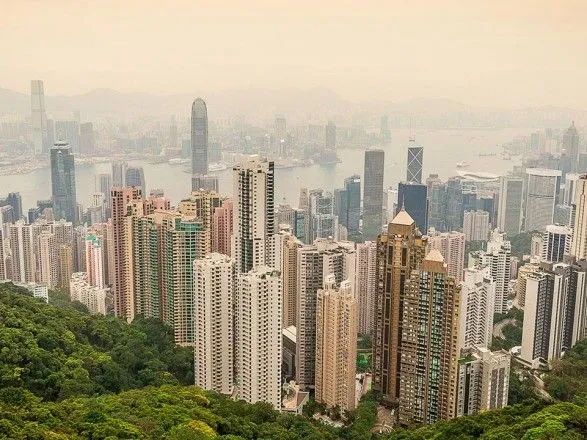 Гонконгська митниця знайшла рекордні 8 тонн луски рідкісних панголінів