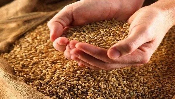 Україна експортувала вже 28,6 млн тонн зернових