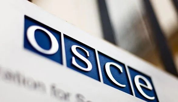 В Украине начала работу миссия ОБСЕ по наблюдению за выборами