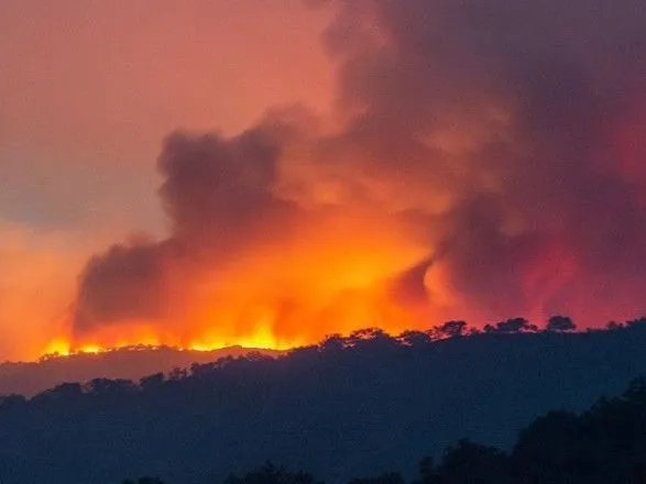 У Нової Зеландії вирує масштабна пожежа
