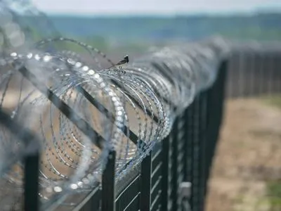 АЧС: Дания начала строительство забора на границе с Германией