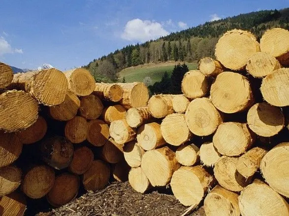 На Буковине лесничий требовал взятку за продажу древесины
