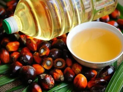 Україна продовжує скуповувати пальмову олію, найбільше - в Індонезії