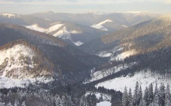 В Карпатах заблудились трое лыжников из Одессы