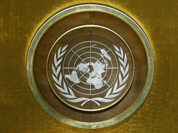 Члени Радбезу ООН зробили заяву за хвилини до засідання щодо України