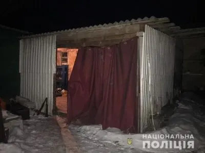 В Киевской области парень пытался убить свою младшую сестру сковородой
