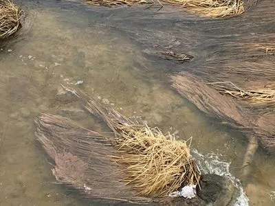 Річку Хомора знову забруднили невідомою сірою речовиною
